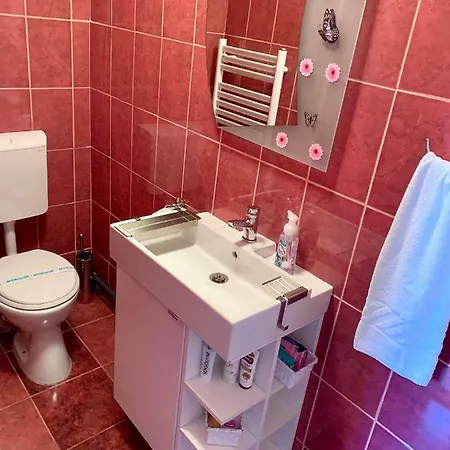 Eroilor Apartment Cluj-Napoca