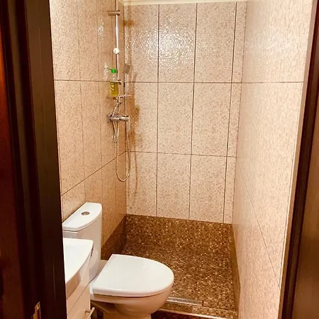Apartment Eroilor *